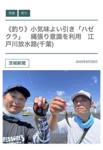 江戸川下流