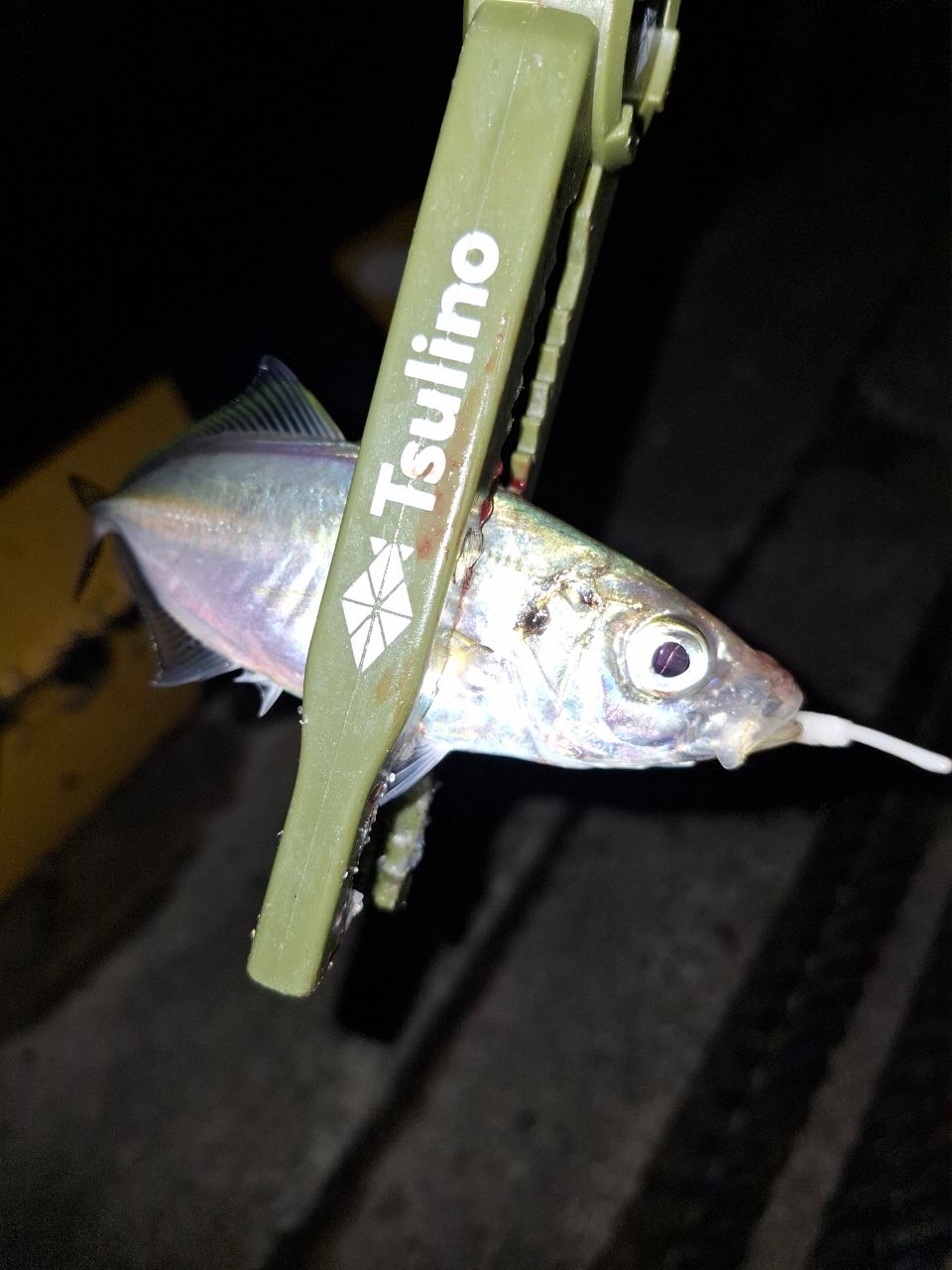 アジ