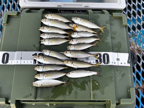オリジナルメーカー海釣り公園