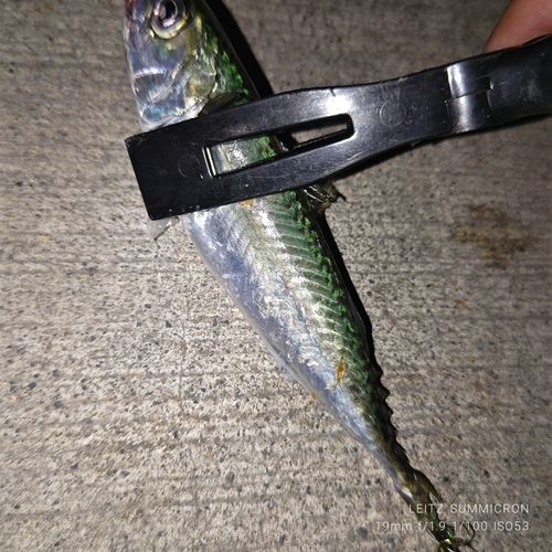 日立沖