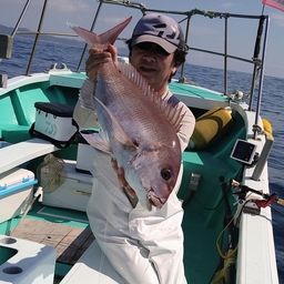 マダイ