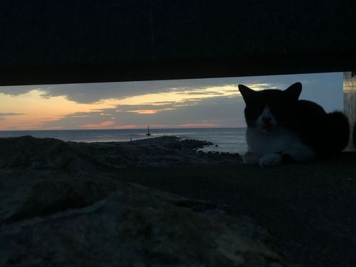 十三湖