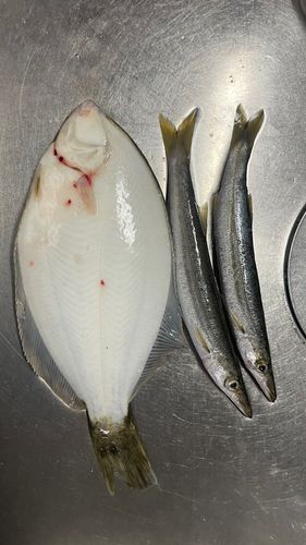 道南地方