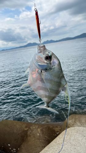 博多湾