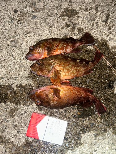 海辺つり公園