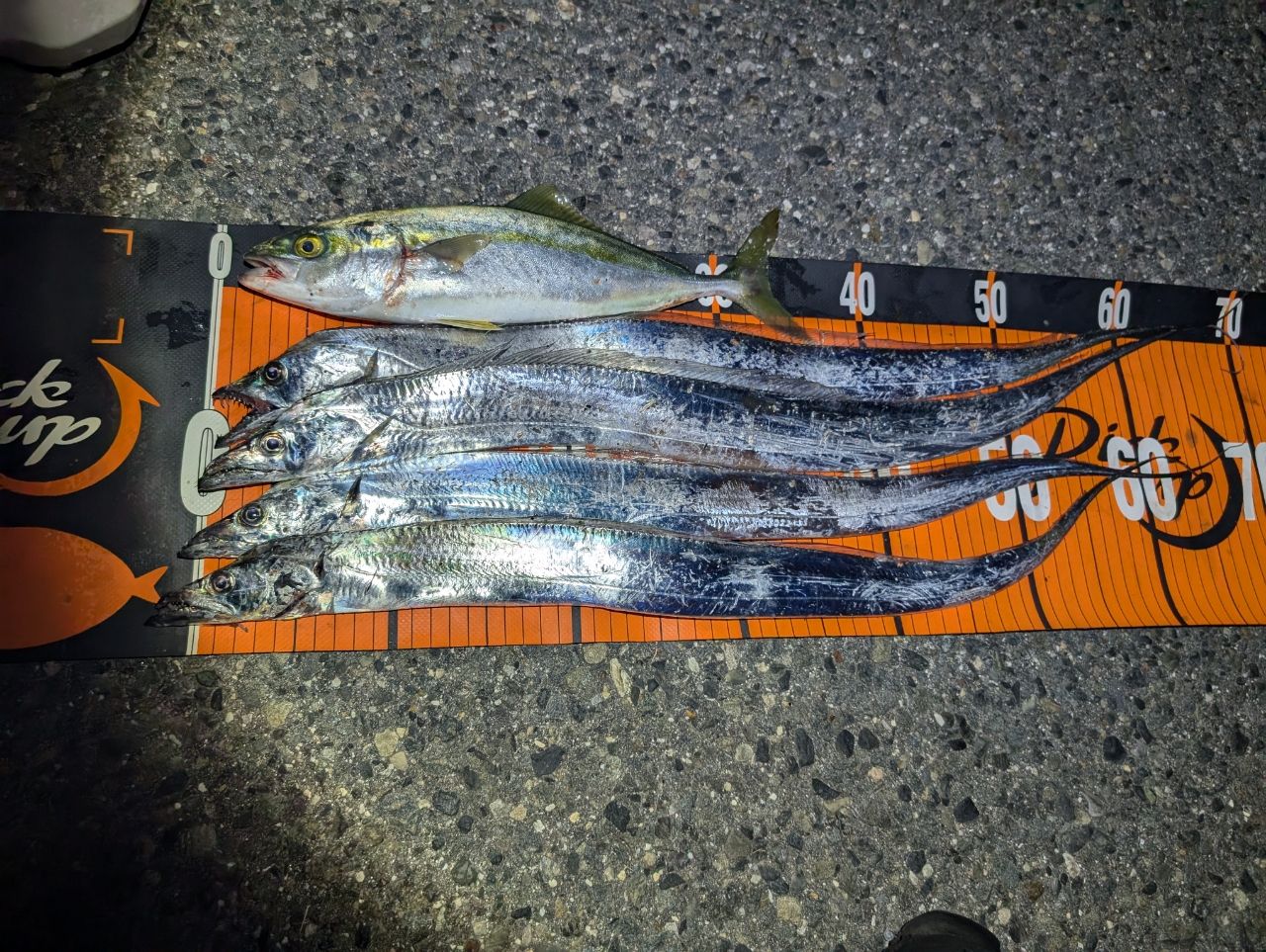タチウオ