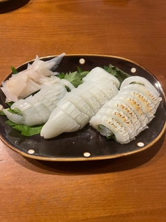 シリヤケイカの釣果