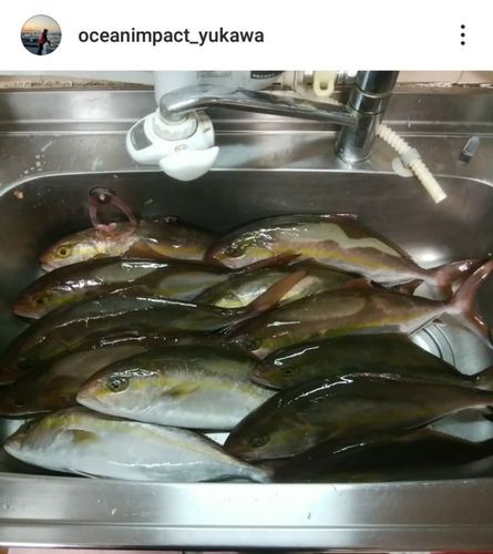 熊野灘