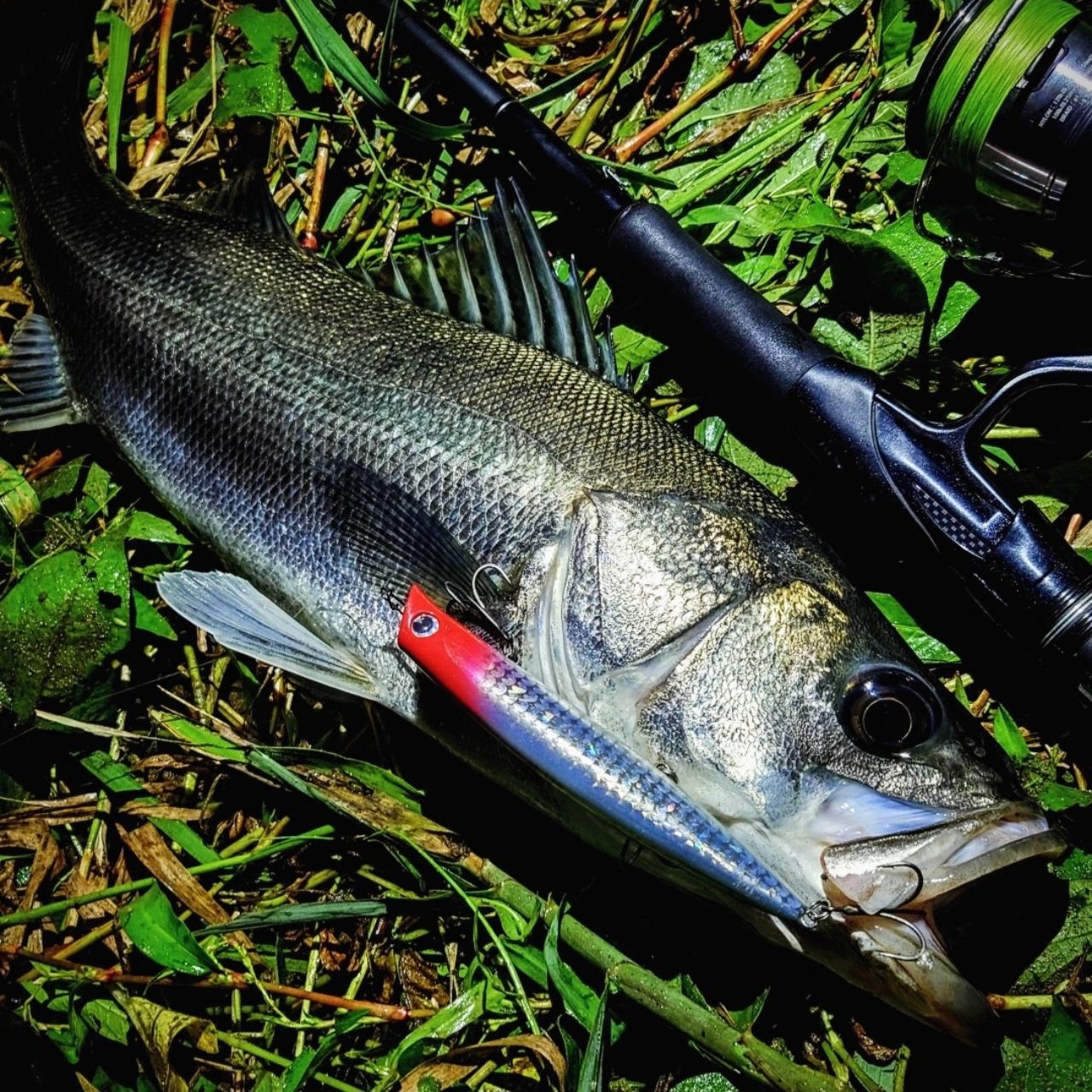DAIWA - ダイワ　ラブラックス　AGS 96ml ダイワ ラブラックス AGS 96ML・N 2021モデル (スピニング2