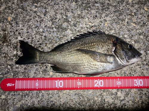 表浜名湖