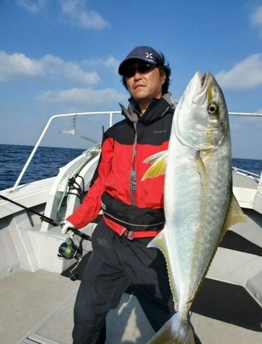 ヒラマサの釣果