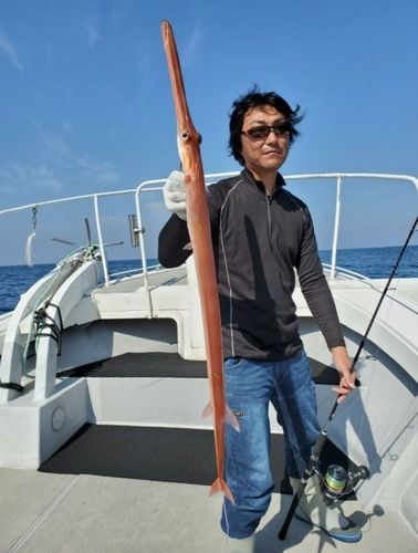 アカヤガラの釣果