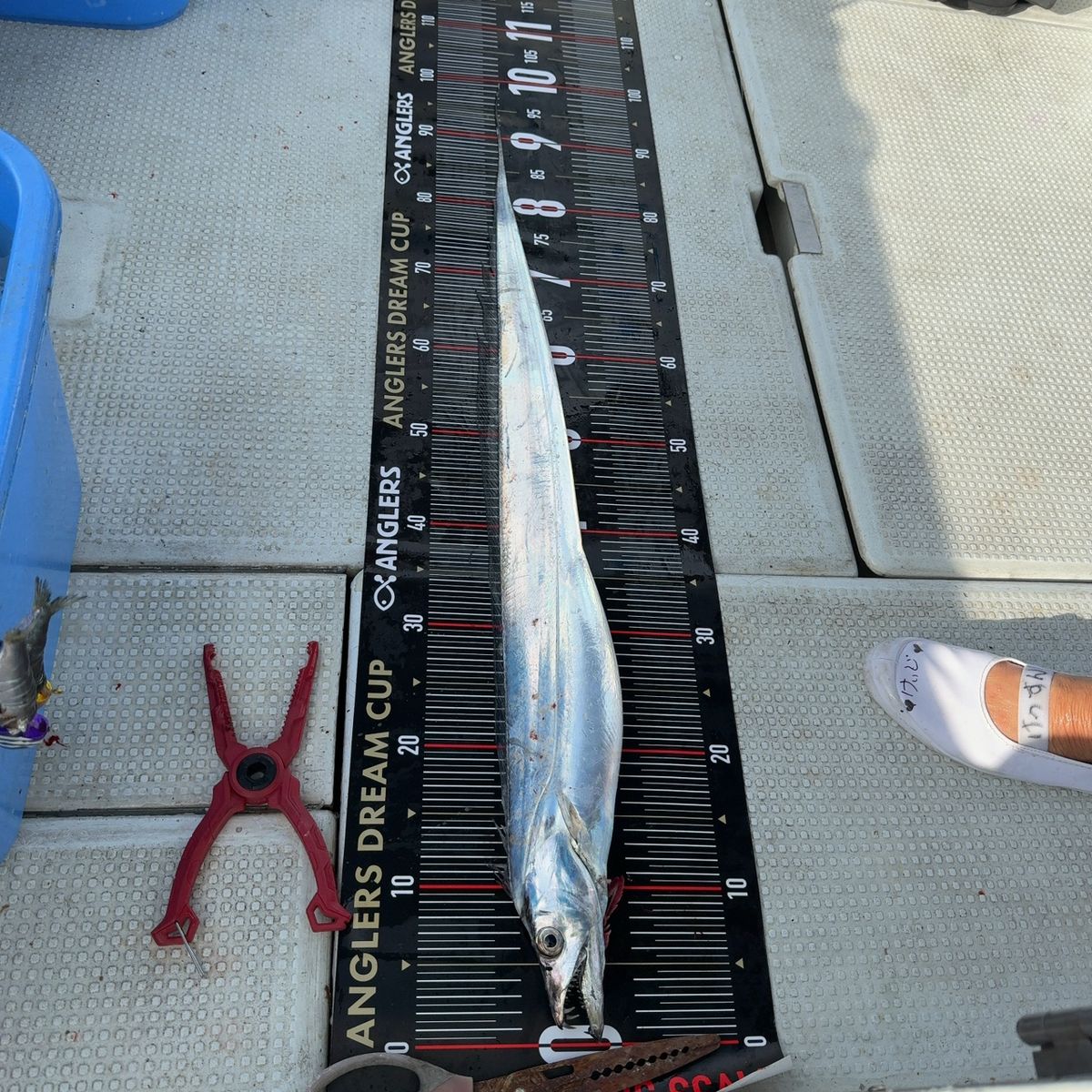 遊釣CH まっすん♪さんの釣果 2枚目の画像
