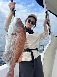 タイの釣果