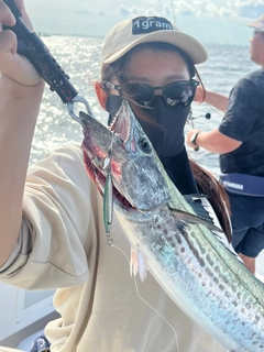 サワラの釣果