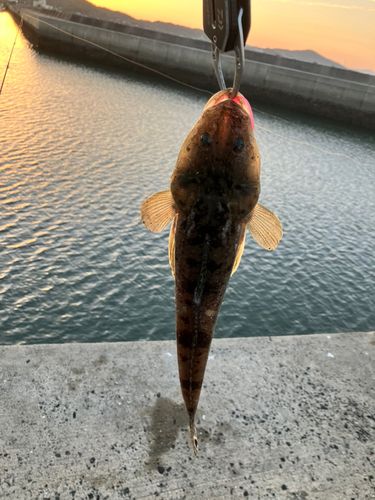 周防灘