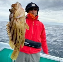 ホウキハタの釣果