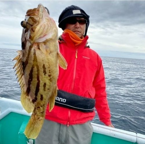 ホウキハタの釣果