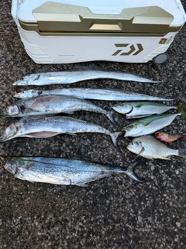 久里浜沖