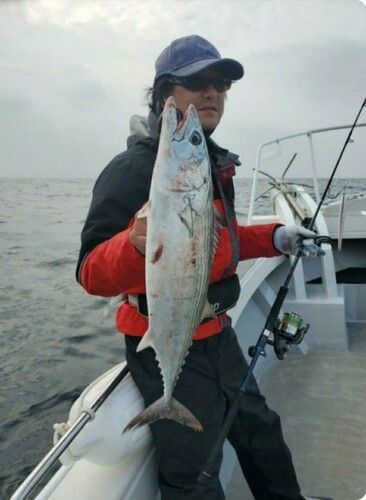 ハガツオの釣果