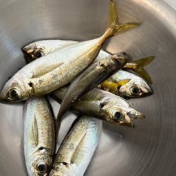 アジ