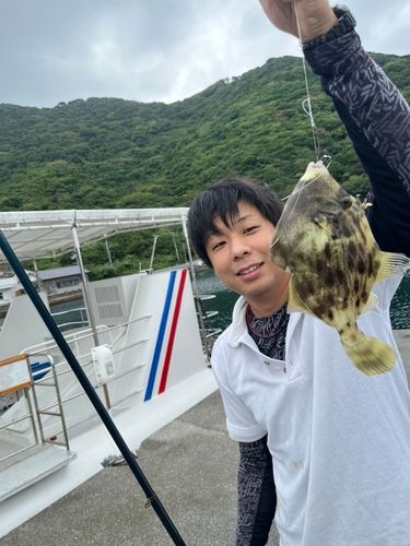 カワハギの釣果