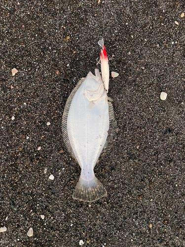 三沢漁港