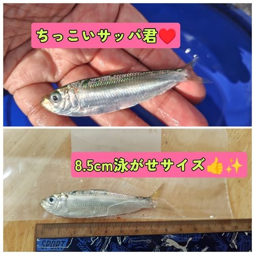 親水広場