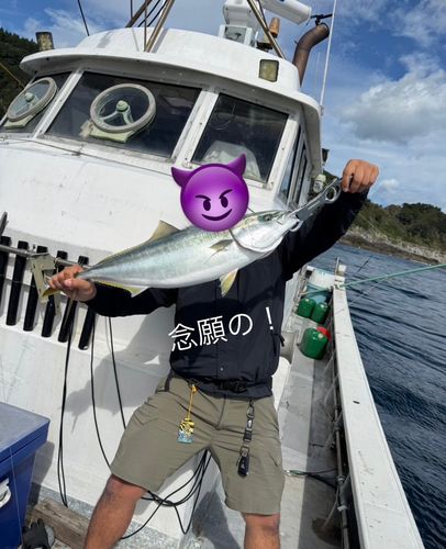 ブリの釣果