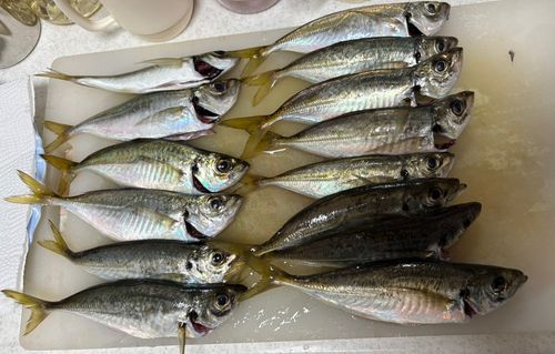 二宮海岸