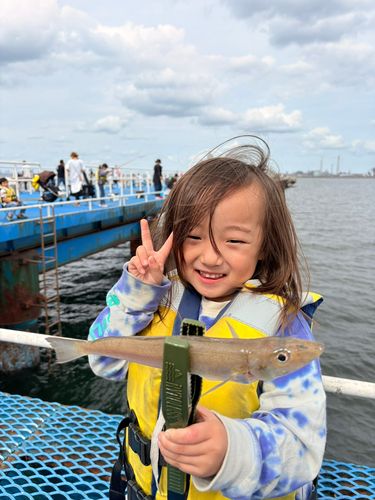 オリジナルメーカー海釣り公園