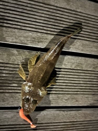 浦賀