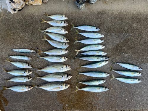 大津漁港