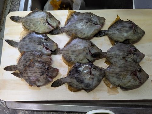 知多湾