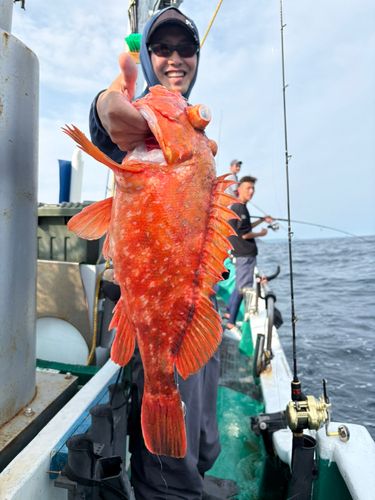 紀伊大島