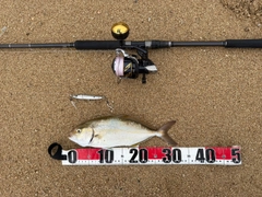 ネイリの釣果