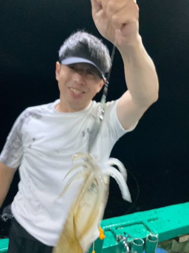 播磨灘