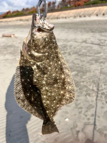 大倉戸海岸
