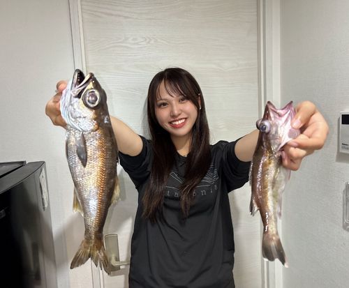 クロムツの釣果