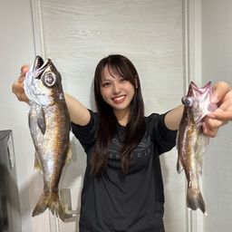 クロムツ