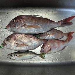 タイ