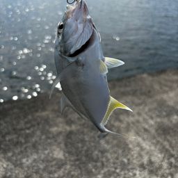 メッキ