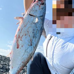 ソウダガツオ