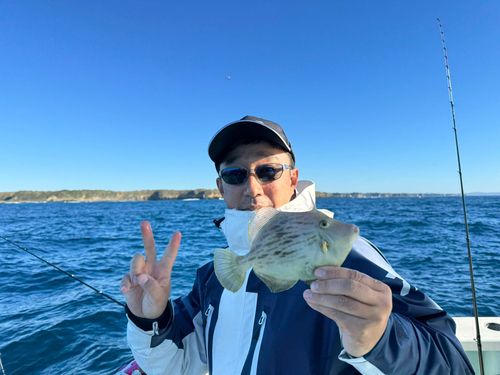 カワハギの釣果