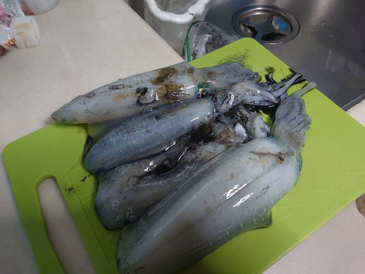 R・913さんの釣果 2枚目の画像