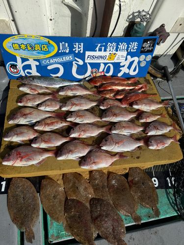 タイの釣果