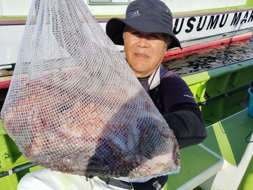 マダコの釣果