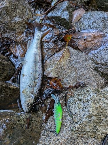 長野県南部