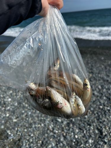 二宮海岸
