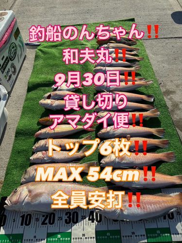 シロアマダイの釣果